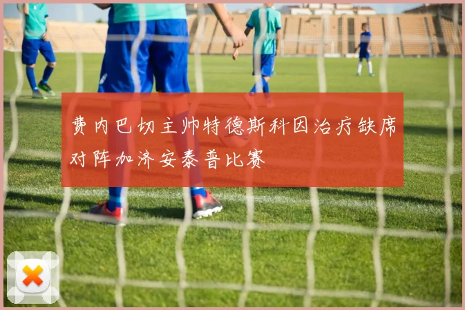 费内巴切主帅特德斯科因治疗缺席对阵加济安泰普比赛