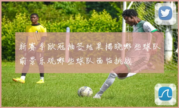 新赛季欧冠抽签结果揭晓哪些球队前景乐观哪些球队面临挑战