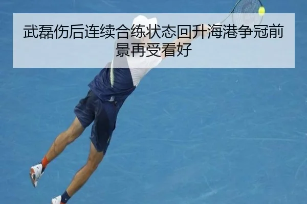 武磊伤后连续合练状态回升海港争冠前景再受看好